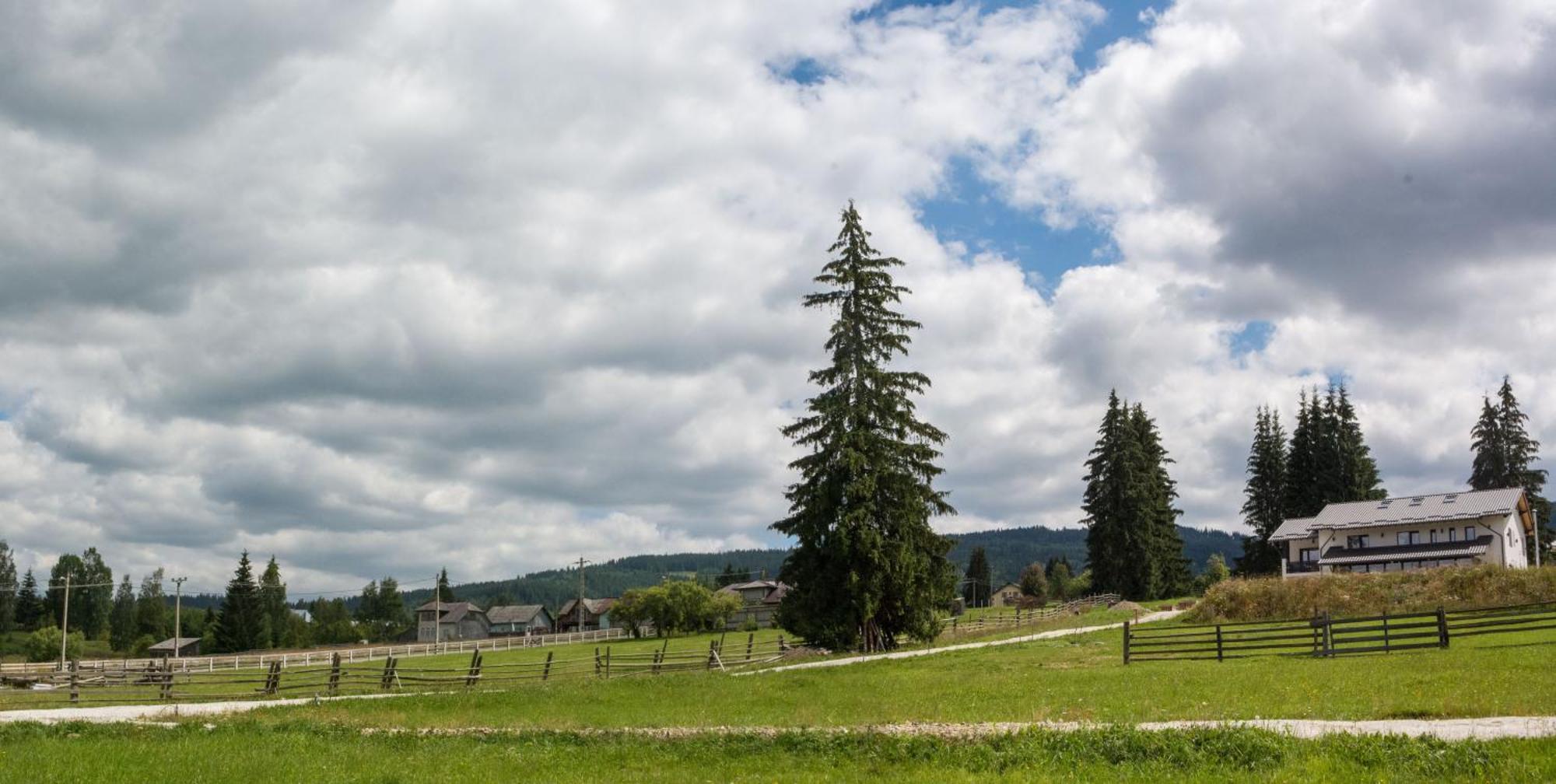 Vila Dorna Royal Saru Dornei ภายนอก รูปภาพ